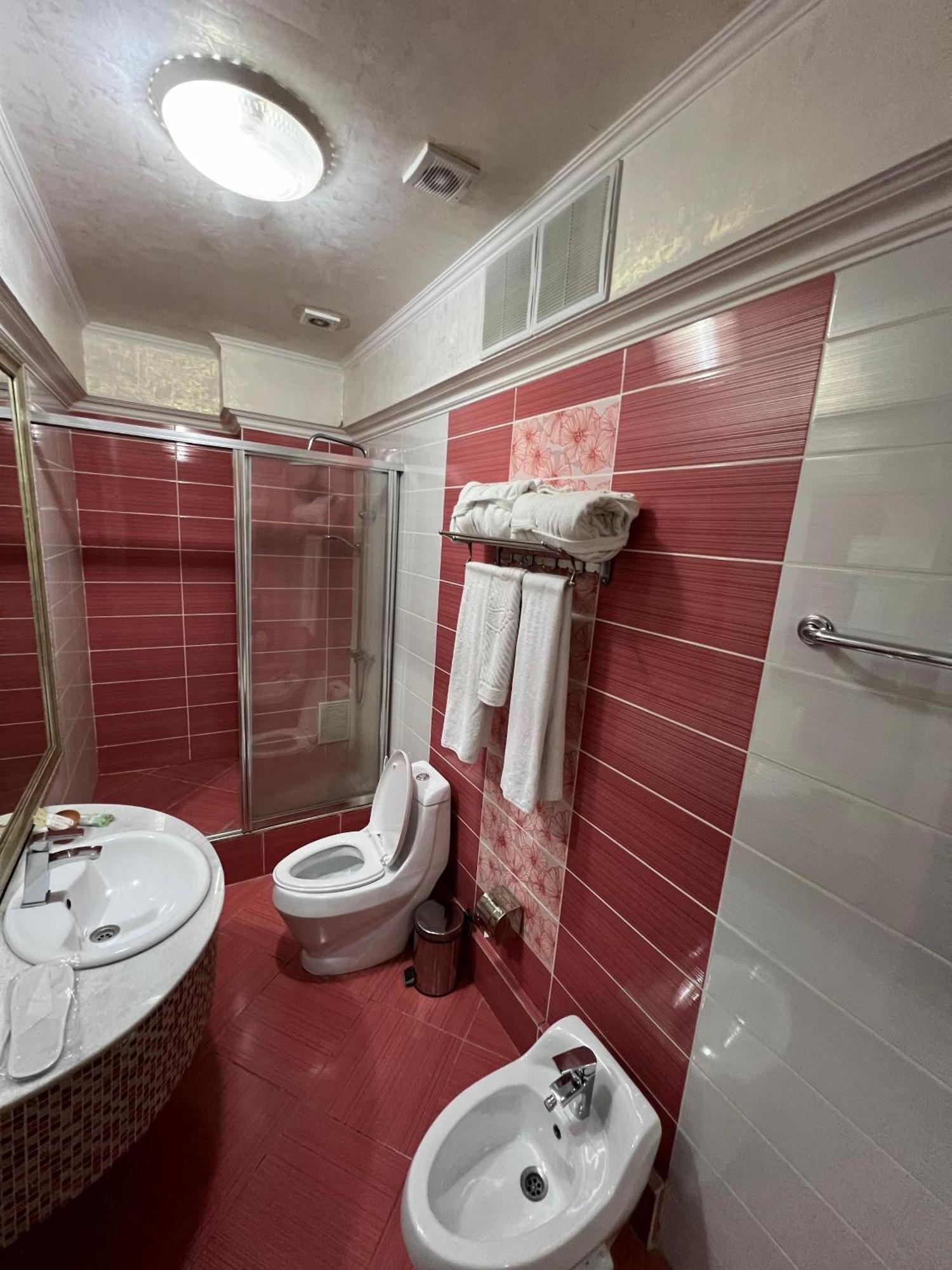 שימקנט Sary Arka Hotel חדר תמונה